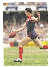 1991 Select AFL Stickers #159 Garry Lyon Front